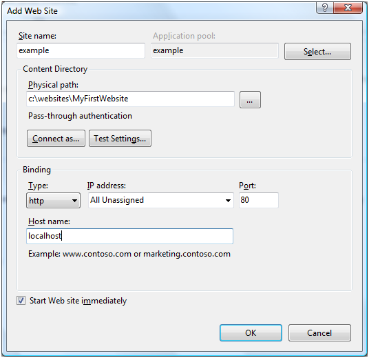 Содержимое select. IIS Bindings настройка. Temp name.